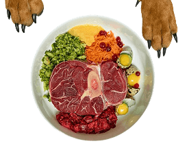 Bowl of nutritious pet food