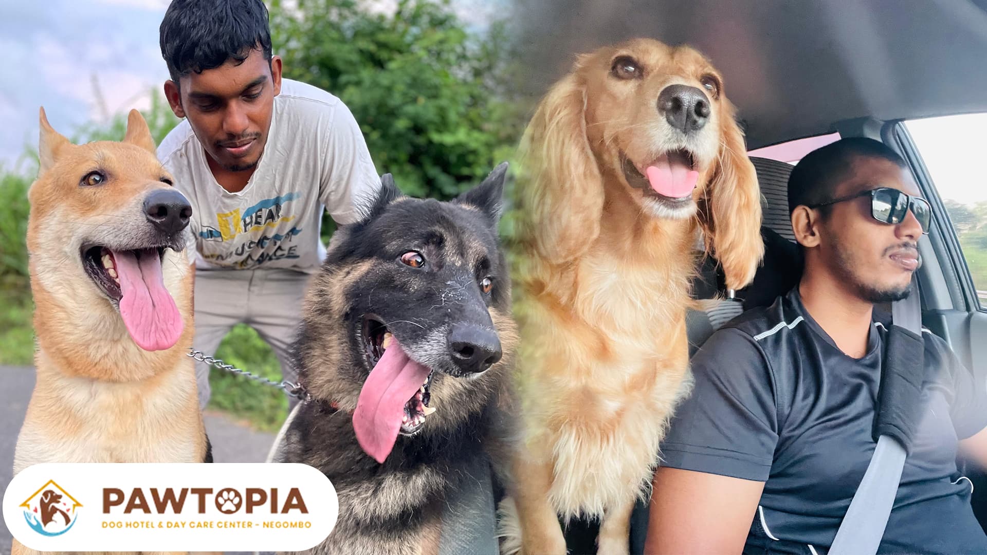 Play time with furr balls 🥰